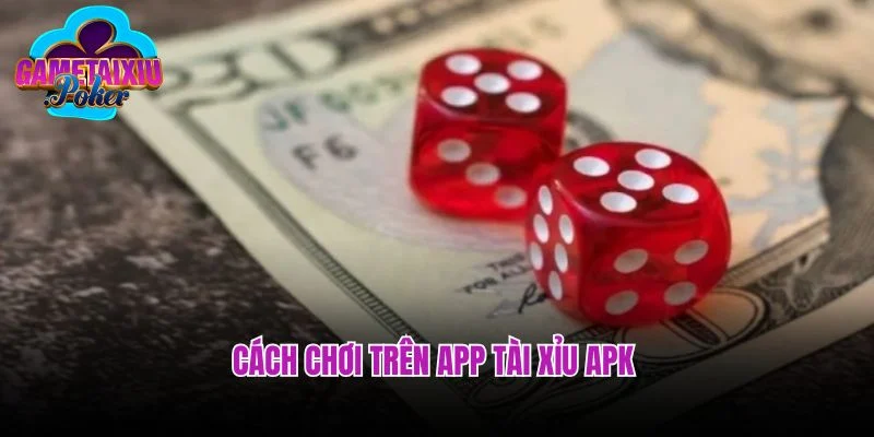 Cách chơi trên app tài Xỉu APK