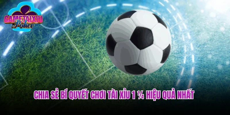 Chia sẻ bí quyết chơi tài xỉu 1 ¼ hiệu quả nhất