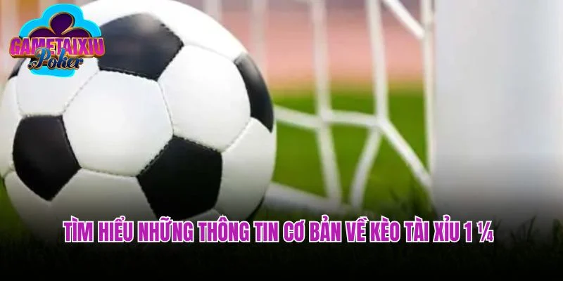 Tìm hiểu những thông tin cơ bản về kèo tài xỉu 1 ¼